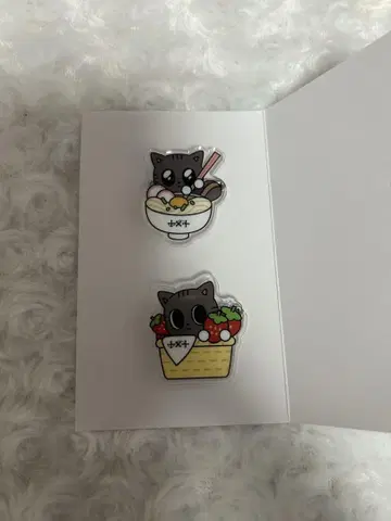 다고냥 카가와 후쿠오카 뿔바투 txt 태현 배치
