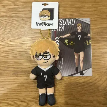 하이큐!! 째릿 봉제인형 미야 아츠무
