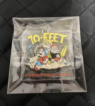 10-FEET 클리어 키링