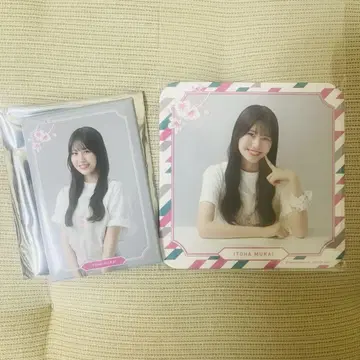 사쿠라자카 카페 무카이 이토하 코스터 마그넷