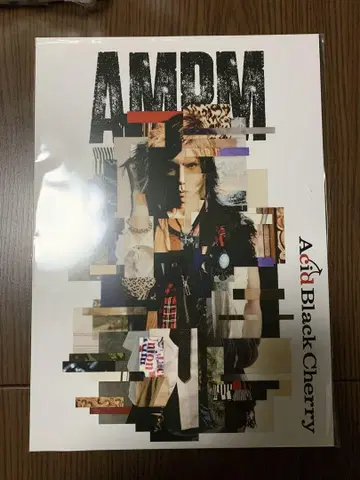 새상품 AMPM Acid Black Cherry 예약 특전 비주얼 시트