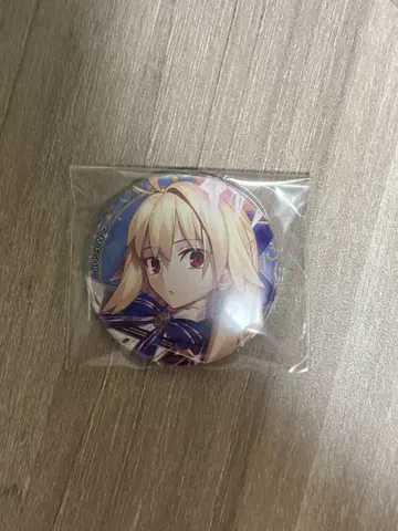 fgo 영기소환 캔뱃지 아키타입 어스