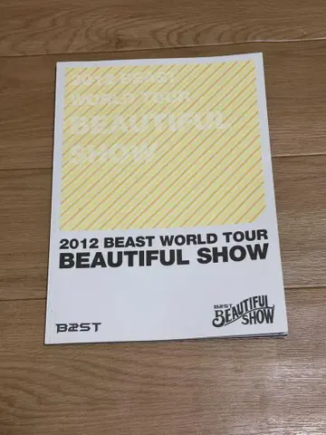 BEAST(HIGHLIGHT) 2012 콘서트 사진집