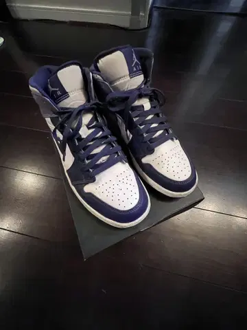 Air Jordan 1 MID SKY J PURPLE 27cm