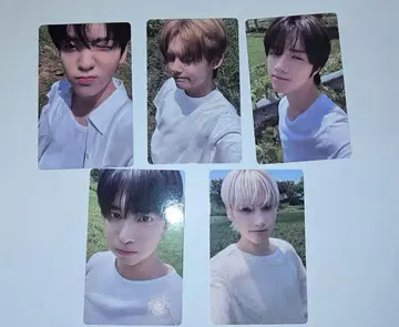 TXT TOGETHER showcase weverse 트레이딩 카드