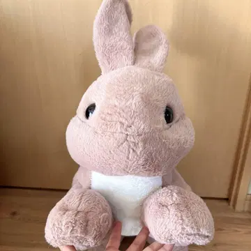 토끼 토끼 토끼 봉제 인형