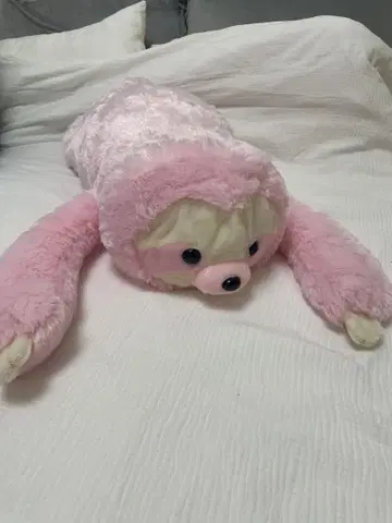 핑크색 나무늘보 봉제 인형