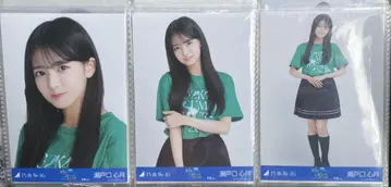 세토구치 미즈키 한여름의 전국 투어 2025 라이브 T 컴프
