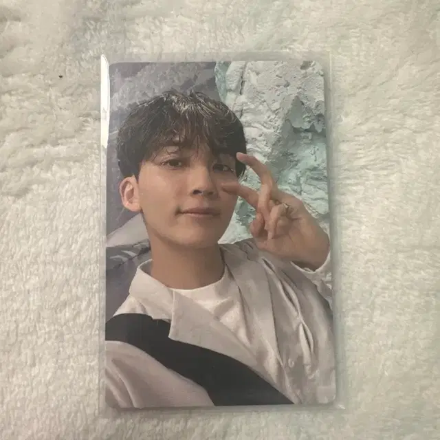 세븐틴 섹터17 정한 양도