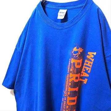 길단 위트 P.R.I.D.E 로고 티셔츠 블루 2XL 구제 의류