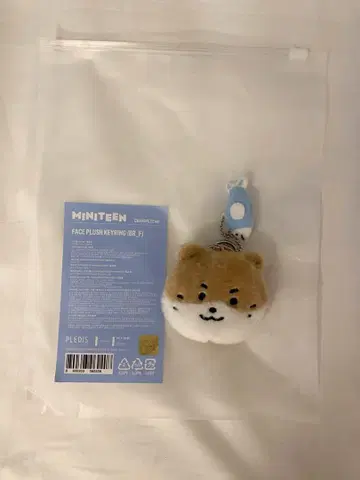 SEVENTEEN 디노 MINITEEN 팝업 키링
