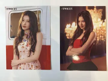 TWICE 사나 랜트 #TWICE5