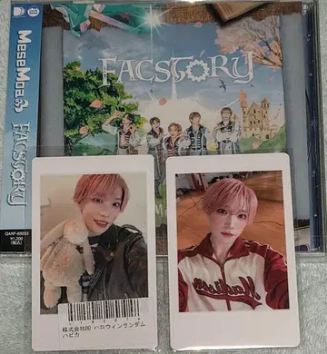 팬더드래곤 파라곤 타이거2