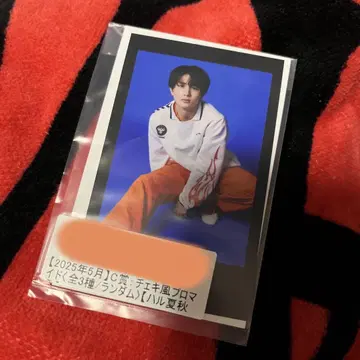 초특급 하루 키라리 스크래치
