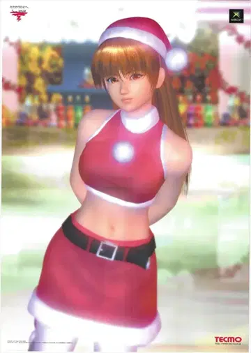 테크모 DEAD OR ALIVE (산타 카스미) B2 포스터