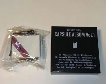 BTS FESTA 2025 CAPSULE ALBUM Layover V