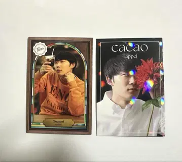 요시모토 콜레카 cacao 탓페이