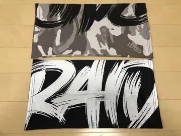 레이드재팬 RAID JAPAN 페이스게이터 2매 세트