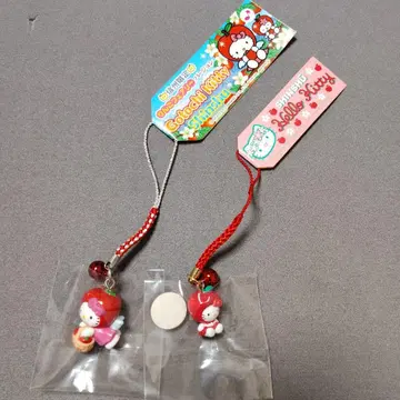 지역 한정 키티 네츠케