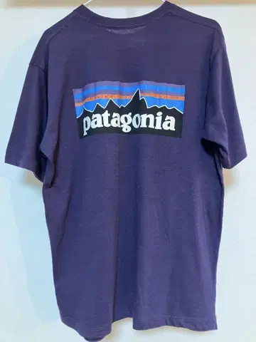patagonia 파타고니아 백 프린트 티셔츠 M 사이즈
