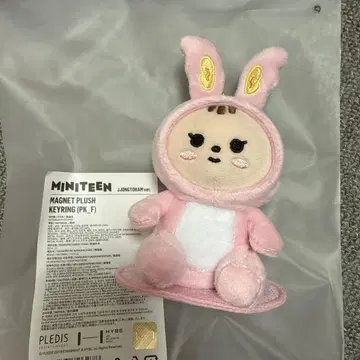 miniteen jjongtoram 키링