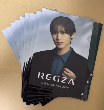 메구로 렌 REGZA 클리어 파일 9세트