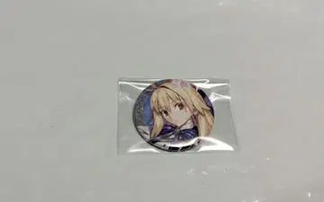 FGO 페스 신규 일러스트 캔뱃지 아키타입