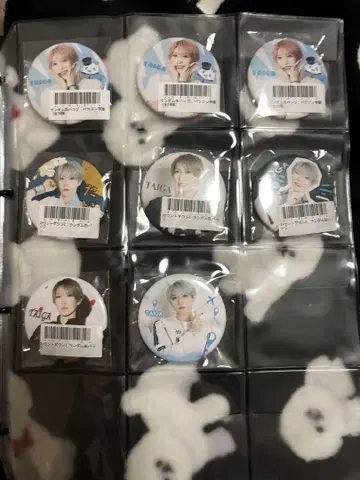 판다 드래곤 타이가