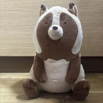 곰과 너구리 너구리 봉제 인형