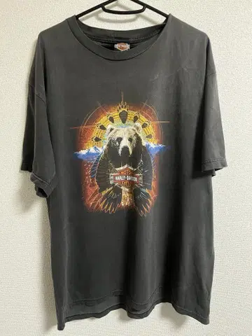 Harley-Davidson 곰 그래픽 티셔츠