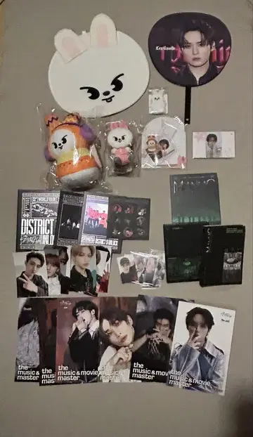 StrayKids 리노 리빗 굿즈 DVD Blu-ray 묶음 판매