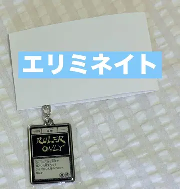 토가시 요시히로 HUNTER x HUNTER 메탈 키링 엘리미네이트 배제