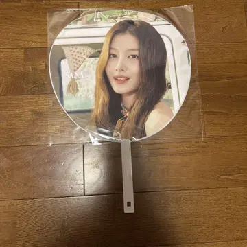 TWICE 5 사나 부채