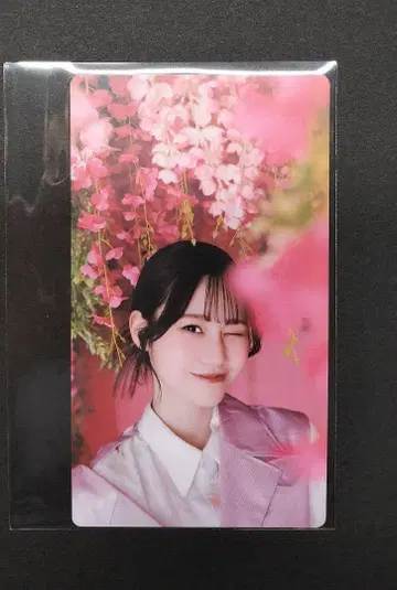 사쿠라자카46 무카이 이토하 사쿠코레 카드