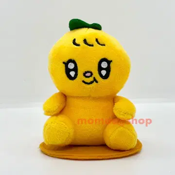 MINITEEN MAGNET PLUSH KEYRING 승관 쁘규리