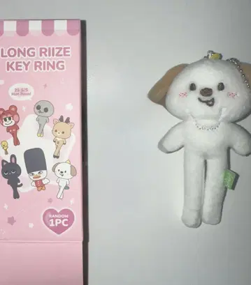 RIIZE PARK LONGRIIZE 발길이 키링 라이즈 앤톤