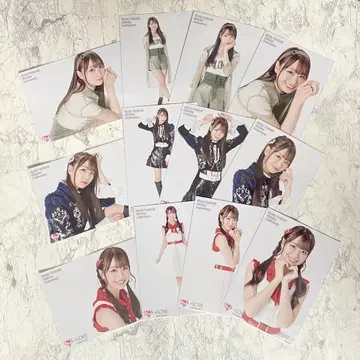 타키와키 쇼코 생탄 기념 브로마이드 2021 이코러브