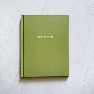 Some Insects Terri Weifenbach