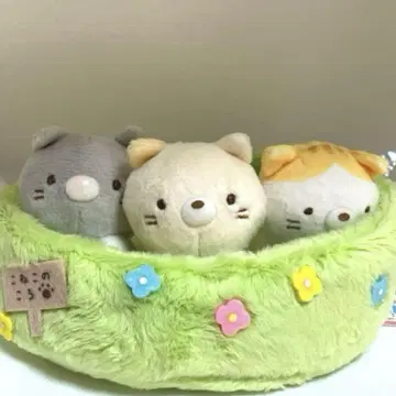 봉제 인형 멀티 트레이 고양이 형제를 만났습니다