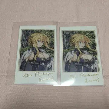 Fgo fes 2025 포트레 2021 알트리아 펜드래곤