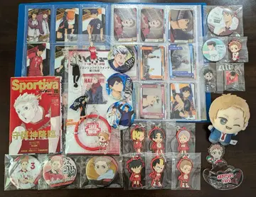 하이큐 굿즈 묶음 판매 야쿠  검은꼬리, 카게야마 외