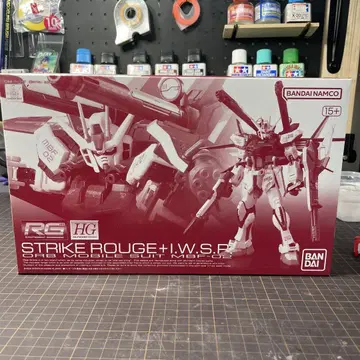 RG 스트라이크 루즈 IWSP