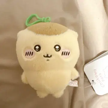 치이카와 파크