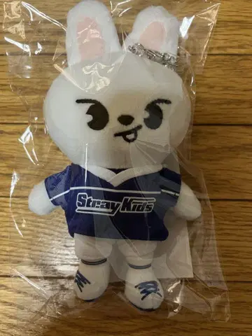 straykids 리노 백참 미개봉 새상품