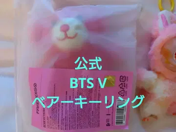 BTS V 태현 FRIENDS Bear Keyring 곰 태태