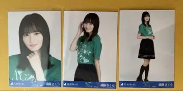 엔도 사쿠라 브로마이드