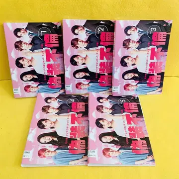 위장불륜 DVD 전5권 전권 세트 안, 미야자와 히오, 히가시무라 아키코