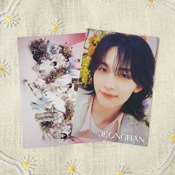 SEVENTEEN museum 2023 정한 엽서