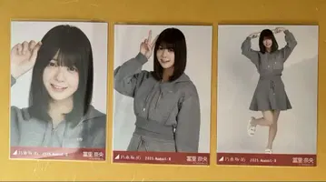 브로마이드 도미사토 나오