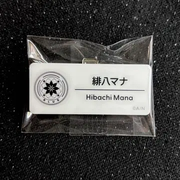 니지산지 Oriens 아케야 마나 니지 페스 2025 네임 배지